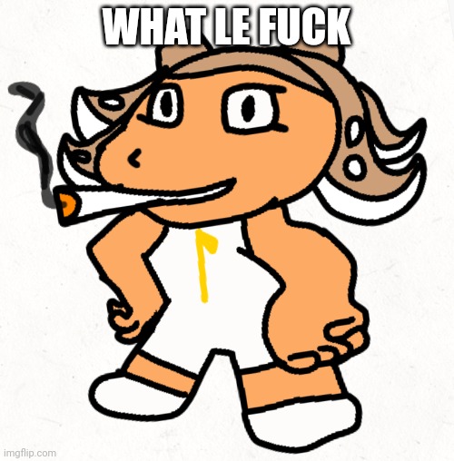 Side order agent 8 smokes a fat blunt | WHAT LE FUCK | image tagged in side order agent 8 smokes a fat blunt | made w/ Imgflip meme maker