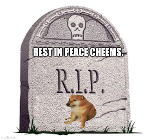 RIP | REST IN PEACE CHEEMS. | image tagged in rip | made w/ Imgflip meme maker