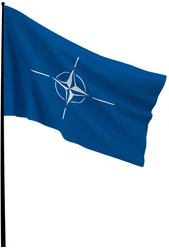 High Quality NATO flag Blank Meme Template