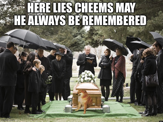 Funeral | HERE LIES CHEEMS MAY HE ALWAYS BE REMEMBERED | image tagged in funeral | made w/ Imgflip meme maker