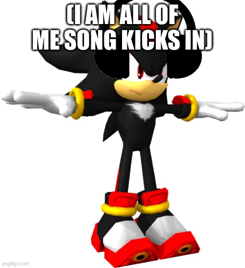 shadow the hedgehog t pose | (I AM ALL OF ME SONG KICKS IN) | image tagged in shadow the hedgehog t pose | made w/ Imgflip meme maker