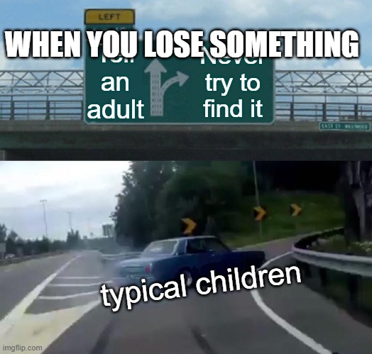 Left Exit 12 Off Ramp | WHEN YOU LOSE SOMETHING; Tell an adult; Never try to find it; typical children | image tagged in memes,left exit 12 off ramp | made w/ Imgflip meme maker