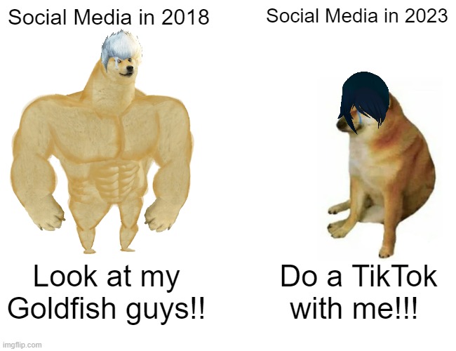 Buff Doge vs. Cheems Meme | Social Media in 2018; Social Media in 2023; Look at my Goldfish guys!! Do a TikTok with me!!! | image tagged in memes,buff doge vs cheems,social media,fun,funny | made w/ Imgflip meme maker