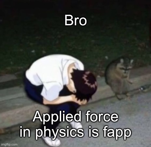 shinj crying with his raccoon homie | Bro; Applied force in physics is fapp | image tagged in shinj crying with his raccoon homie | made w/ Imgflip meme maker