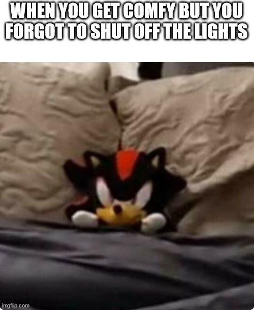 WWYD | WHEN YOU GET COMFY BUT YOU FORGOT TO SHUT OFF THE LIGHTS | image tagged in shadow | made w/ Imgflip meme maker