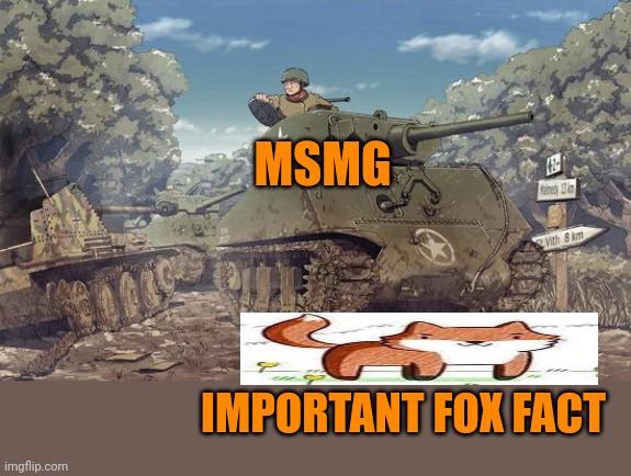 Msmg when foxes. | MSMG; IMPORTANT FOX FACT | image tagged in that moment when,tank,foxes | made w/ Imgflip meme maker