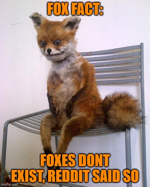 e | FOX FACT:; FOXES DONT EXIST, REDDIT SAID SO | image tagged in stoned fox | made w/ Imgflip meme maker