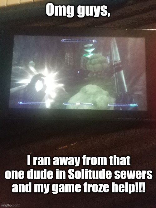 What do i do? | Omg guys, I ran away from that one dude in Solitude sewers and my game froze help!!! | image tagged in skyri,lagged games,khajiit,nightingale | made w/ Imgflip meme maker