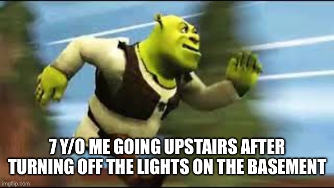 Shrek Running | 7 Y/O ME GOING UPSTAIRS AFTER TURNING OFF THE LIGHTS ON THE BASEMENT | image tagged in shrek running | made w/ Imgflip meme maker