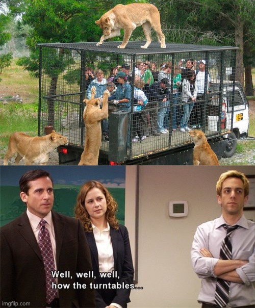 "You see, in Soviet Russia, animals cage you" | image tagged in how the turntables,zoo,the office,animals,memes,funny | made w/ Imgflip meme maker