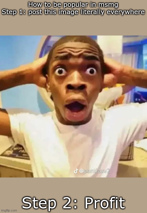 Shocked black guy | How to be popular in msmg
Step 1: post this image literally everywhere; Step 2: Profit | image tagged in shocked black guy | made w/ Imgflip meme maker