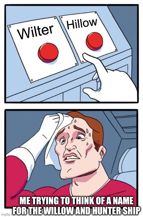 Two Buttons | Hillow; Wilter; ME TRYING TO THINK OF A NAME FOR THE WILLOW AND HUNTER SHIP | image tagged in memes,two buttons | made w/ Imgflip meme maker