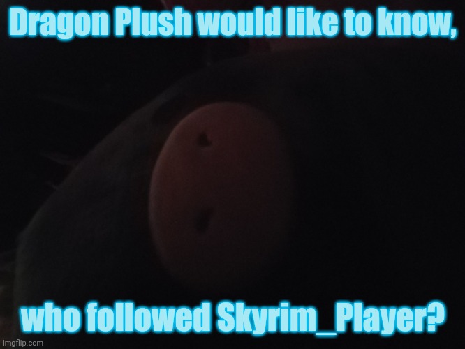 Dragon Plush is not mad, who followed her? | Dragon Plush would like to know, who followed Skyrim_Player? | image tagged in dragon plush | made w/ Imgflip meme maker