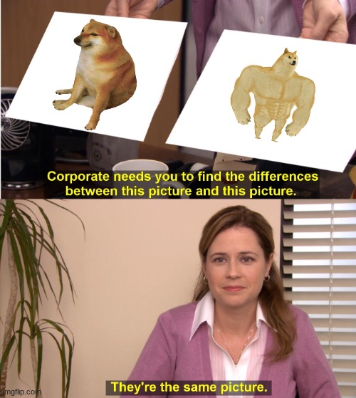 dog | image tagged in memes,they're the same picture | made w/ Imgflip meme maker