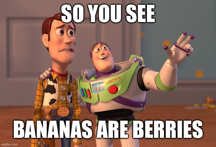 X, X Everywhere Meme | SO YOU SEE; BANANAS ARE BERRIES | image tagged in memes,x x everywhere,bananas | made w/ Imgflip meme maker