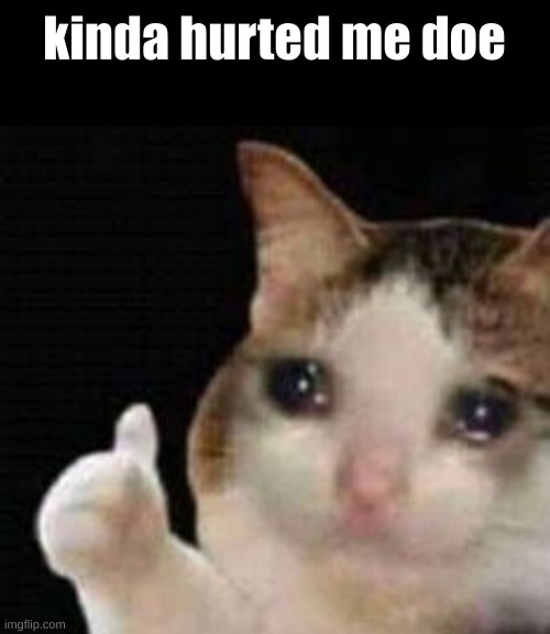 Approved crying cat | kinda hurted me doe | image tagged in approved crying cat | made w/ Imgflip meme maker
