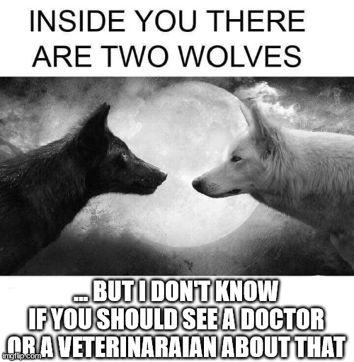 Inside You There Are Two Wolves... | ... BUT I DON'T KNOW IF YOU SHOULD SEE A DOCTOR OR A VETERINARAIAN ABOUT THAT | image tagged in inside you there are two wolves | made w/ Imgflip meme maker