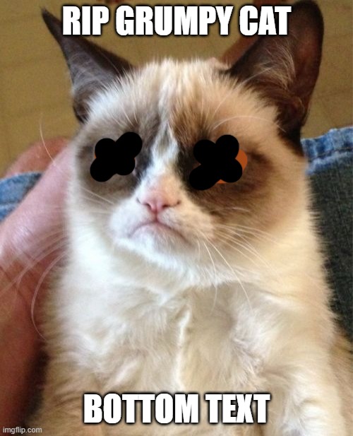 Grumpy Cat Meme | RIP GRUMPY CAT; BOTTOM TEXT | image tagged in memes,grumpy cat | made w/ Imgflip meme maker