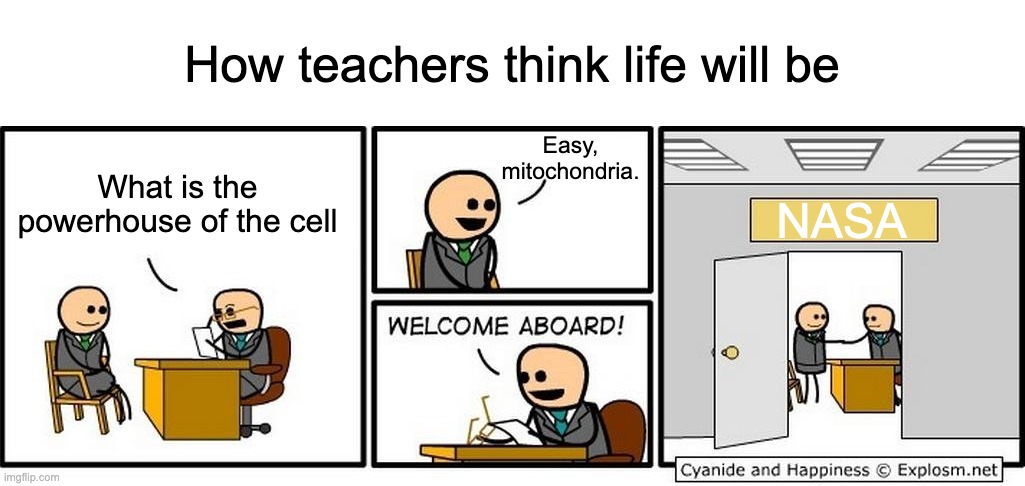 What is the weight of Mars, 69÷0, and the meaning of life? | How teachers think life will be; Easy, mitochondria. What is the powerhouse of the cell; NASA | image tagged in job interview | made w/ Imgflip meme maker