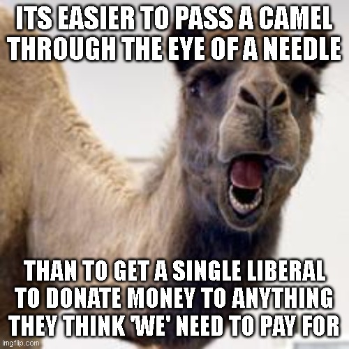 Camel | ITS EASIER TO PASS A CAMEL THROUGH THE EYE OF A NEEDLE THAN TO GET A SINGLE LIBERAL TO DONATE MONEY TO ANYTHING THEY THINK 'WE' NEED TO PAY  | image tagged in camel | made w/ Imgflip meme maker