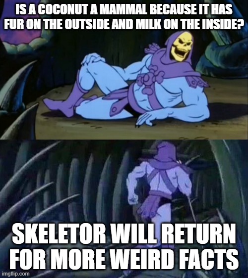 Wait a second.... | IS A COCONUT A MAMMAL BECAUSE IT HAS FUR ON THE OUTSIDE AND MILK ON THE INSIDE? SKELETOR WILL RETURN FOR MORE WEIRD FACTS | image tagged in skeletor disturbing facts | made w/ Imgflip meme maker