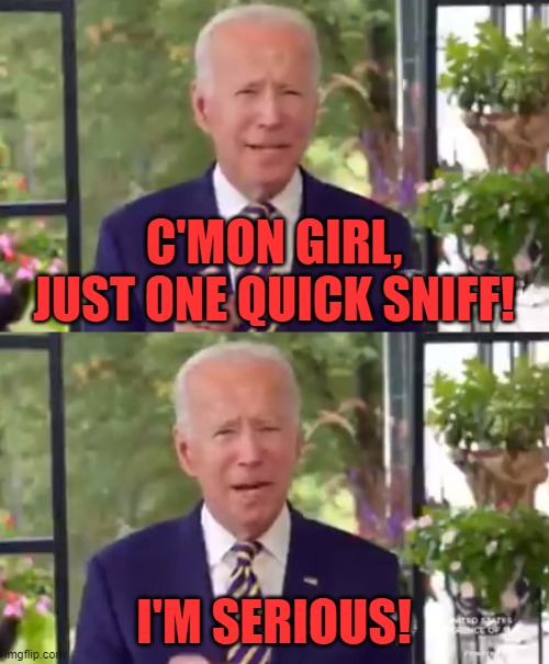 biden | C'MON GIRL, JUST ONE QUICK SNIFF! I'M SERIOUS! | image tagged in biden | made w/ Imgflip meme maker