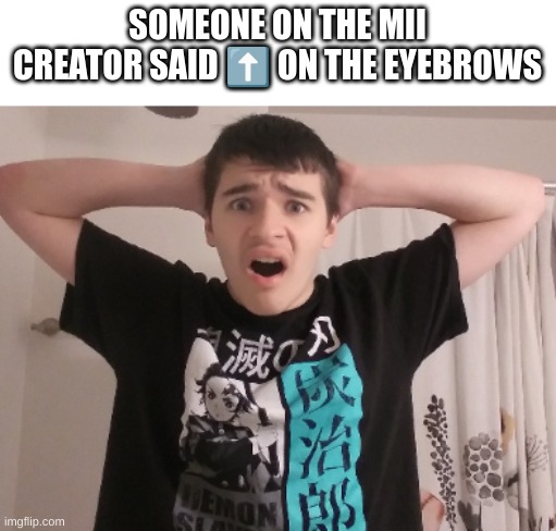 SOMEONE ON THE MII CREATOR SAID ⬆️ ON THE EYEBROWS | made w/ Imgflip meme maker