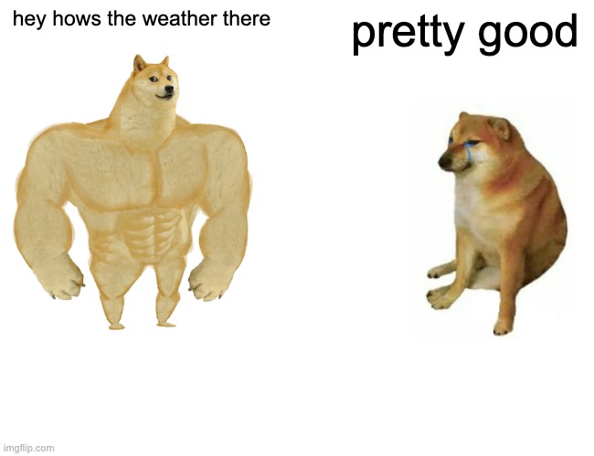 no context #2 | hey hows the weather there; pretty good | image tagged in memes,buff doge vs cheems | made w/ Imgflip meme maker