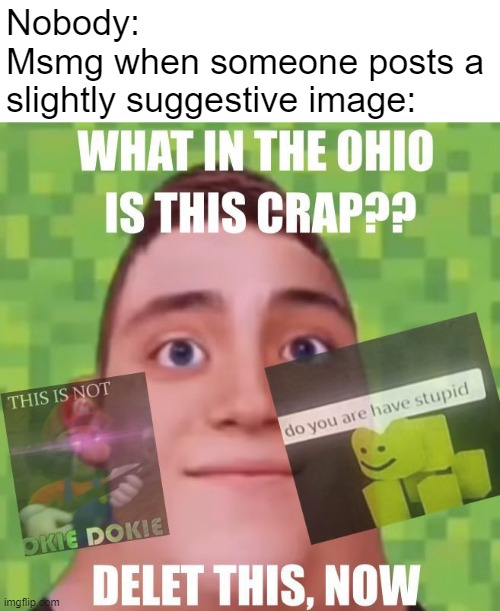 Nobody:
Msmg when someone posts a slightly suggestive image: | made w/ Imgflip meme maker