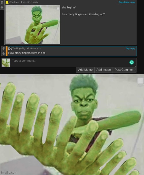 image tagged in beast boy holding more than 12 fingers | made w/ Imgflip meme maker
