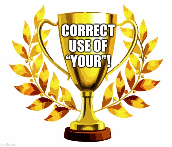 You Win! | CORRECT USE OF “YOUR”! | image tagged in you win | made w/ Imgflip meme maker