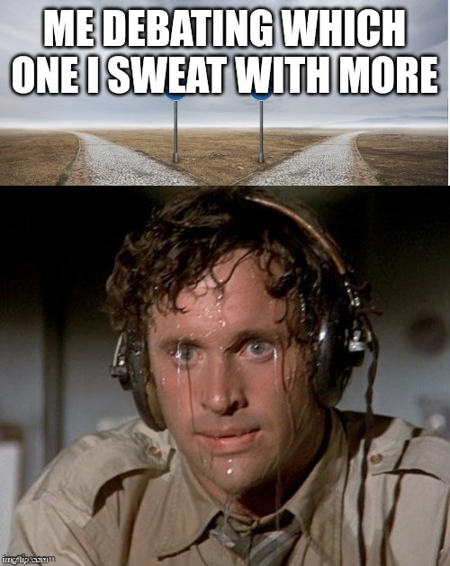 Sweating the choices | ME DEBATING WHICH ONE I SWEAT WITH MORE | image tagged in sweating the choices | made w/ Imgflip meme maker