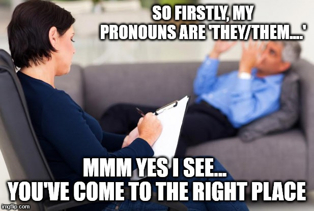 prounouns | SO FIRSTLY, MY PRONOUNS ARE 'THEY/THEM....'; MMM YES I SEE... 
YOU'VE COME TO THE RIGHT PLACE | image tagged in psychiatrist,my pronouns are | made w/ Imgflip meme maker