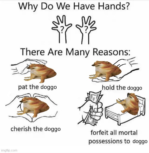 Doggo is good | doggo; doggo; doggo; doggo | image tagged in why do we have hands | made w/ Imgflip meme maker