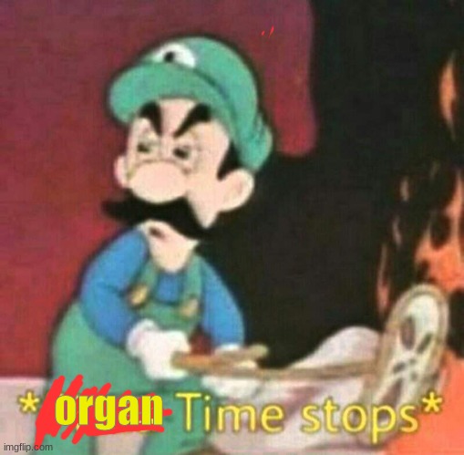 Pizza time stops | organ | image tagged in pizza time stops | made w/ Imgflip meme maker