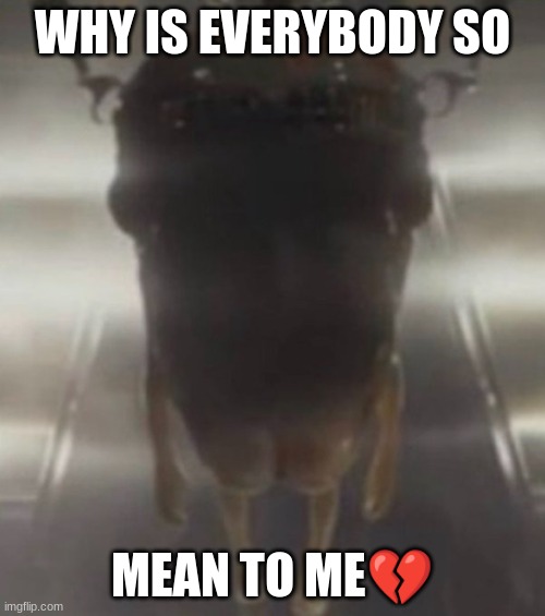 why so mean? | WHY IS EVERYBODY SO; MEAN TO ME💔 | image tagged in marvel,antman | made w/ Imgflip meme maker