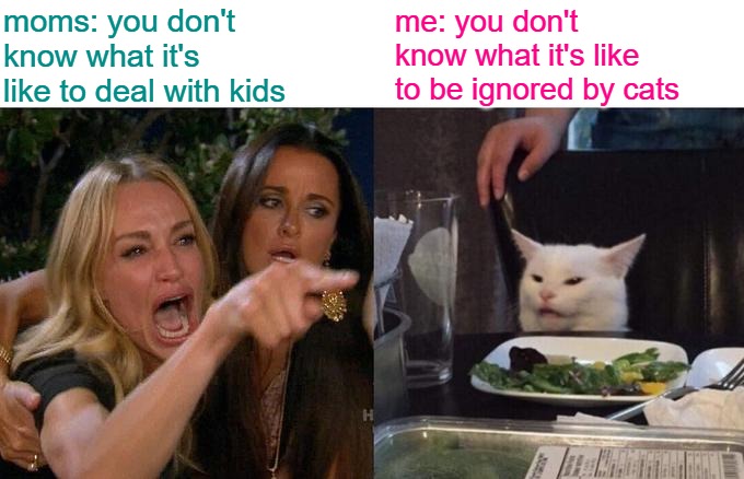 You feed them, love them, and they ignore you | moms: you don't know what it's like to deal with kids; me: you don't know what it's like to be ignored by cats | image tagged in memes,woman yelling at cat,i love cats,petlovers,pets,humor | made w/ Imgflip meme maker