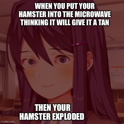 I got this from iceu I am his 1. Fan | WHEN YOU PUT YOUR HAMSTER INTO THE MICROWAVE THINKING IT WILL GIVE IT A TAN; THEN YOUR HAMSTER EXPLODED | image tagged in doki doki yuri | made w/ Imgflip meme maker