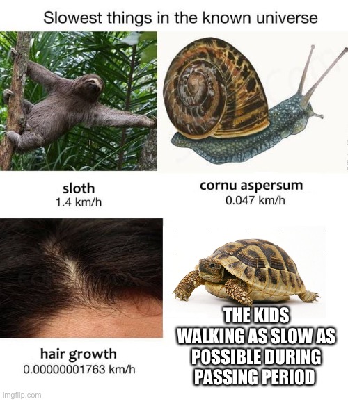 Slowest things | THE KIDS WALKING AS SLOW AS POSSIBLE DURING PASSING PERIOD | image tagged in slowest things | made w/ Imgflip meme maker