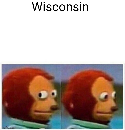 Monkey Puppet Meme | Wisconsin | image tagged in memes,monkey puppet | made w/ Imgflip meme maker