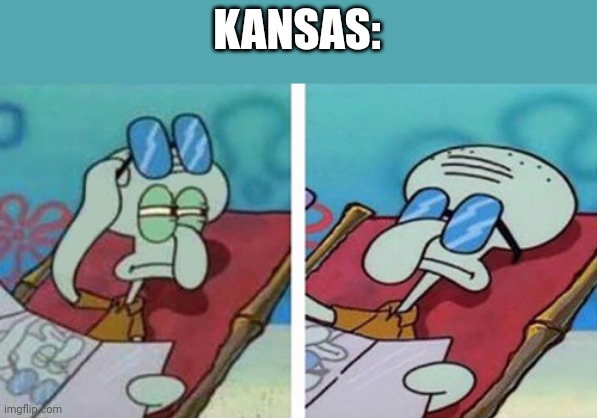 Squidward Doesn | KANSAS: | image tagged in squidward doesn | made w/ Imgflip meme maker