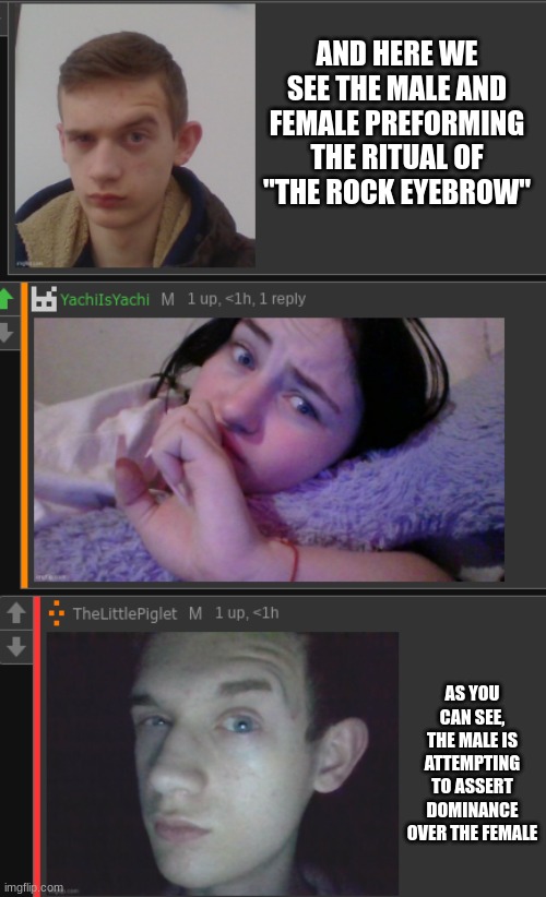 The Rock Eyebrow Memes - Imgflip