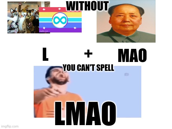 Lol | WITHOUT; MAO; +; L; YOU CAN'T SPELL; LMAO | image tagged in blank white template | made w/ Imgflip meme maker