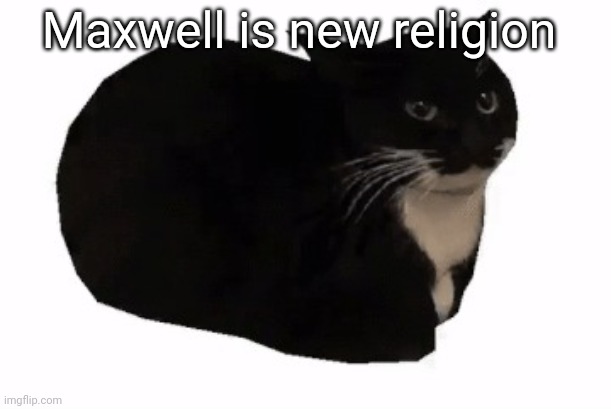 maxwell the cat | Maxwell is new religion | image tagged in maxwell the cat | made w/ Imgflip meme maker