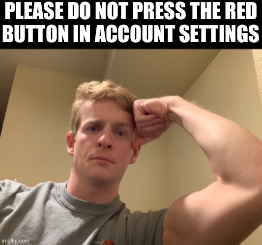 PLEASE DO NOT PRESS THE RED
BUTTON IN ACCOUNT SETTINGS | made w/ Imgflip meme maker