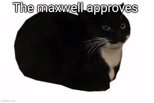 maxwell the cat | The maxwell approves | image tagged in maxwell the cat | made w/ Imgflip meme maker