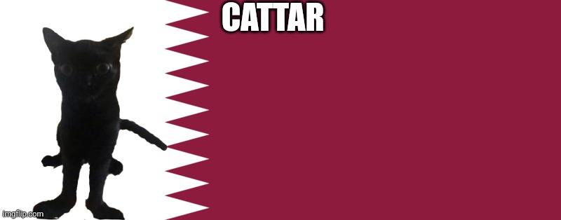 CATTAR | made w/ Imgflip meme maker