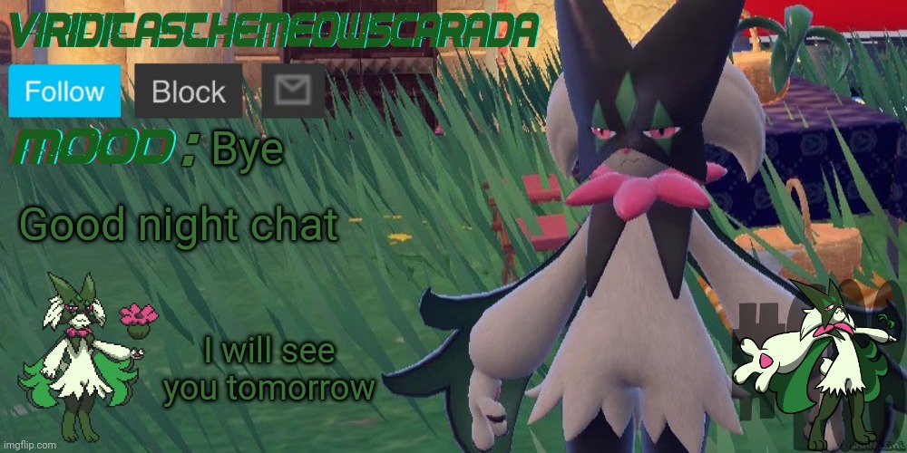 Viridicas | Bye; Good night chat; I will see you tomorrow | image tagged in viridicas | made w/ Imgflip meme maker