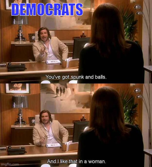 DEMOCRATS | image tagged in it crowd,transgender,leftists,democrats | made w/ Imgflip meme maker