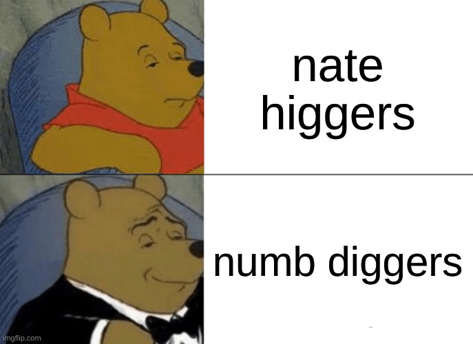 hates n | nate higgers; numb diggers | image tagged in memes,tuxedo winnie the pooh | made w/ Imgflip meme maker